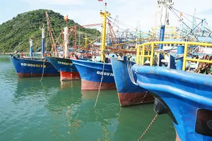 Báo cáo Thủ tướng vụ không bán bảo hiểm cho tàu cá đóng mới