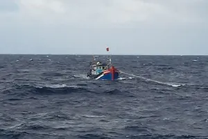 Một chủ tàu cá bị phạt đến 900 triệu đồng