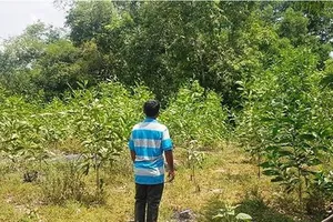 Cụ ông mắc bệnh hiểm nghèo tự tử để lại thư chỉ nơi mất