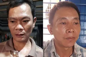 Bắt giữ 3 người mở đường vào rừng đốn gỗ