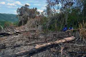 Kiểm tra dấu hiệu vi phạm 8 lãnh đạo của 1 xã vì nạn phá rừng