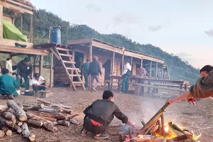 Đã liên lạc được 36 du khách TP.HCM mắc kẹt ở Tà Giang