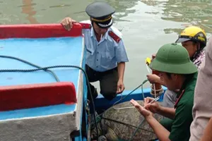 Ngư dân thả lưới dính rùa xanh, giao nộp để thả về biển