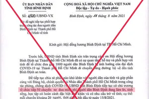 Giả văn bản UBND tỉnh Bình Định đón dân bằng 50 chuyến ô tô