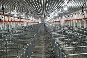 Trang trại heo giống hiện đại đi vào hoạt động 