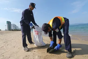 Dầu vón cục dạt vào đen kịt bờ biển Nha Trang