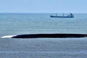 Hai tàu hàng va nhau, 1 thuyền viên mất tích