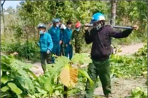 Phát dọn rừng còn tấn công lực lượng bảo vệ rừng
