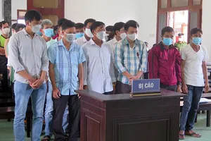 Phạt tù cựu hạt trưởng kiểm lâm để lâm tặc mở đường phá rừng 