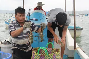  Lễ hội tôn vinh tôm hùm ở thủ phủ tôm hùm 