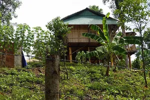 Vụ vợ chánh án làm nhà trên đất rừng phòng hộ: Thanh tra vào cuộc