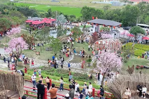 Nhiều điểm du lịch tự phát ở Phú Yên vẫn hoạt động dù chính quyền yêu cầu dừng 