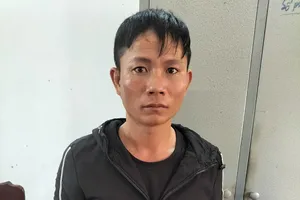 Lái ô tô từ Đắk Lắk đến Phú Yên trộm cả đàn bò