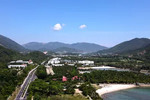 Đề nghị xử lý công ty đấu giá 'đất ở không hình thành đơn vị ở'