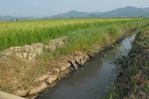 Thất lạc hồ sơ dự án thủy lợi nghiệm thu, nâng khống?