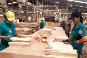 Bình Định chế biến, xuất khẩu gỗ gắn với chống mất rừng 