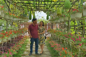 Phú Yên thí điểm xây dựng các mô hình du lịch nông thôn