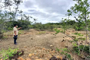 Hi hữu vụ bán đất do xã quản lý ở Ninh Thuận