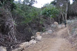 Ngang nhiên dựng lán trại, mở đường vào... phá rừng Sơn Trà