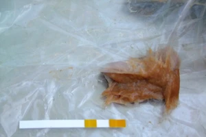 Sử dụng hóa chất cấm để sản xuất chả bò, chả heo