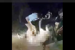 Mời công an làm rõ clip nữ sinh lớp 7 bị nhóm bạn đánh, lột đồ