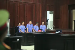 Bà Trương Mỹ Lan được đề nghị giảm nhẹ hình phạt với tội lừa đảo 