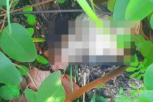 Lên núi hái nấm, hoảng hồn phát hiện bộ xương người 