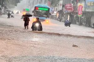 48 người chết và mất tích, 105 người bị thương do bão số 10 và lũ