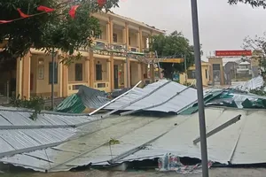 Thủ tướng chỉ đạo: Khẩn trương hỗ trợ Nhân dân khắc phục hậu quả bão số 10 và mưa lũ