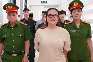 Vụ Hoàng Hường bị khởi tố: Làm từ thiện nhiều thì có được giảm nhẹ?