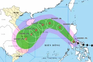 Thông tin mới nhất về bão Fengshen gần Biển Đông