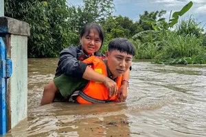 Nguyên nhân khiến mực nước các sông Nam Trung Bộ vượt lịch sử 