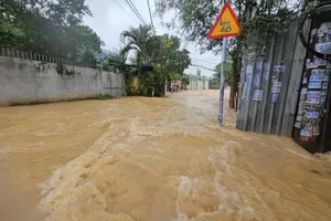 Hôm nay, Gia Lai, Đắk Lắk, Khánh Hòa vẫn có mưa nhưng giảm hơn