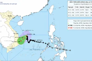 Bão số 15 đang suy yếu thành áp thấp nhiệt đới