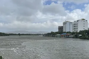 Bình Định: Bùn thải tràn ra khắp nơi, người dân thiệt hại nặng 