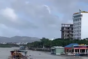 Khơi thông dòng chảy, tiêu thoát lũ do bùn thải ở Quy Nhơn