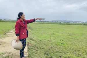 Ruộng đồng phải bỏ hoang vì thi công quốc lộ 19