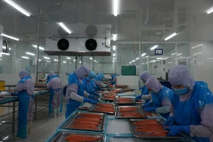 Bình Định: Một doanh nghiệp FDI thưởng Tết cao nhất cho nhân viên đến 250 triệu đồng