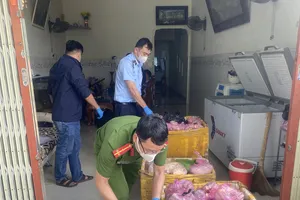 Thu giữ hơn 500 kg thịt heo không rõ nguồn gốc ở Bình Định