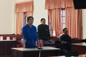 Sử dụng tài liệu giả để chiếm đoạt tài sản, lãnh án 11 năm tù