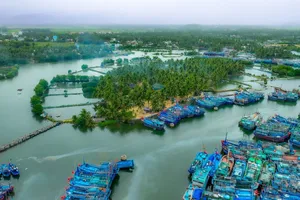 Ngư dân Bình Định đi biển xuyên Tết