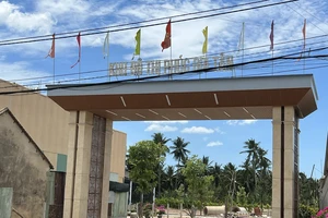 Một công ty bị xử phạt 320 triệu đồng vì san lấp khi chưa có giấy phép môi trường 