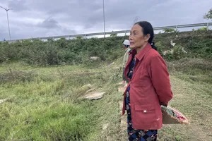 Làm thủ tục bồi thường ruộng bỏ hoang do thi công quốc lộ 19