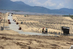 Kiểm tra tài khoản cựu giám đốc BQL rừng phòng hộ nhận 1,2 tỉ đồng ở Bình Định