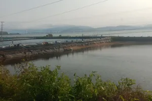 Bình Định xem xét thu hồi dự án treo khiến dân khốn khổ