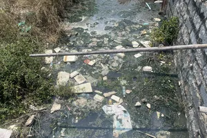 Dân 'ngạt thở' với các cơ sở chế biến mực ô nhiễm