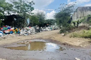 Nguy cơ ô nhiễm từ các cụm công nghiệp ở Bình Định