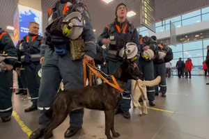 Nga cử đội cứu hộ đến Thổ Nhĩ Kỳ và Syria hỗ trợ công tác tìm kiếm và cứu hộ ở sau các trận động đất ngày 6-2. Ảnh: RT