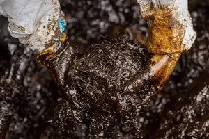 Chùm ảnh: Bãi biển đen kịt vì tàu chở dầu chìm ngoài khơi Philippines 