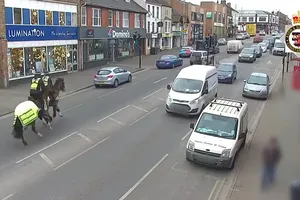 VIDEO: Cảnh sát Anh cưỡi ngựa truy đuổi người vi phạm luật giao thông 